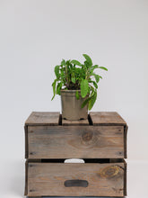 products/SotoProductShootLowQ-1734.jpg